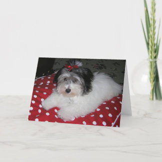 SÜSSE BROOKLYN-MITTEILUNGSKARTEN KARTE