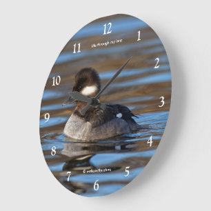 Süße Bufflehead-Ente auf sonnendurchfluteten Gewäs Große Wanduhr