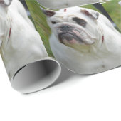 Süße Bulldogge Geschenkpapier (Rolleneckpunkt)