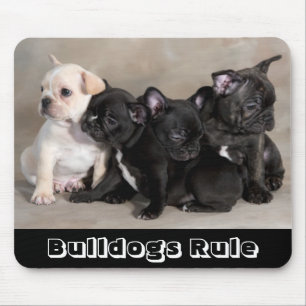 Süße Bulldoggen regieren Welpen-Hunde-Mauspad Mousepad