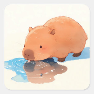 Süße Capybara trinkt aus blauer Pfütze Quadratischer Aufkleber