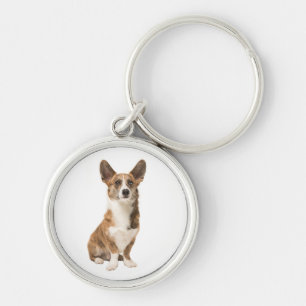 Süße Cardigan Welsh Corgi Welpen Hundeliebhaber Schlüsselanhänger