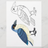Süße Cartoon-Vogel-Malvorlage Flyer (Vorne)