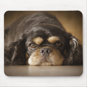 Süsse Cav! Mousepad