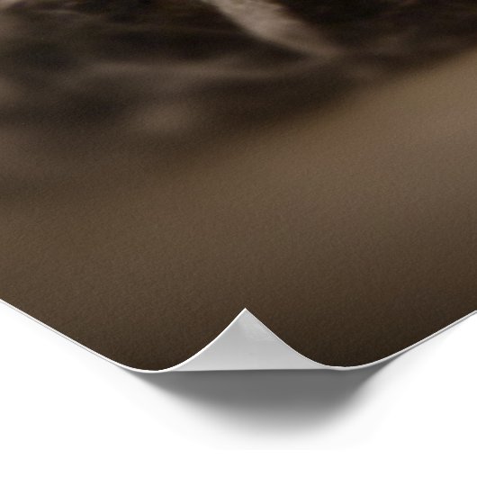 Süsse Cav! Poster (Ecke)