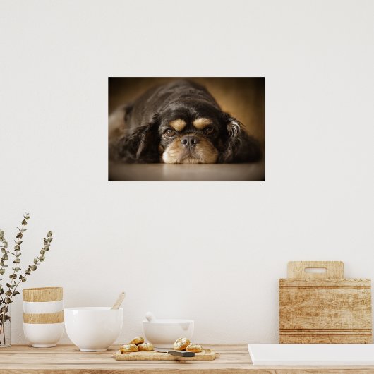 Süsse Cav! Poster (Küche)