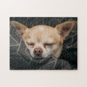 Süsse Chihuahua Puzzle (Horizontal)