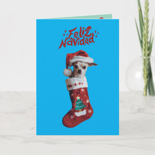 Süße Chihuahua-Weihnachtskarte Ankündigung
