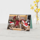 Süße Cocker Spaniel Weihnachtsplätzchen Karte (Gelbe Blume)