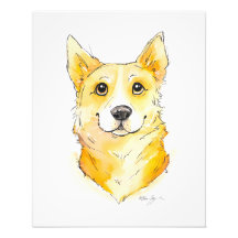 Süsse Corgi