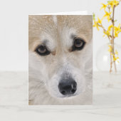 Süße Corgi-Gesichts-Karte Karte (Gelbe Blume)