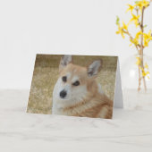 Süße Corgi-Gesichts-Karte Karte (Gelbe Blume)