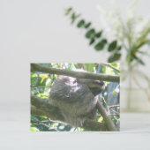 Süße Costa Rica Faultier DIY Postkarte (Stehend Vorderseite)