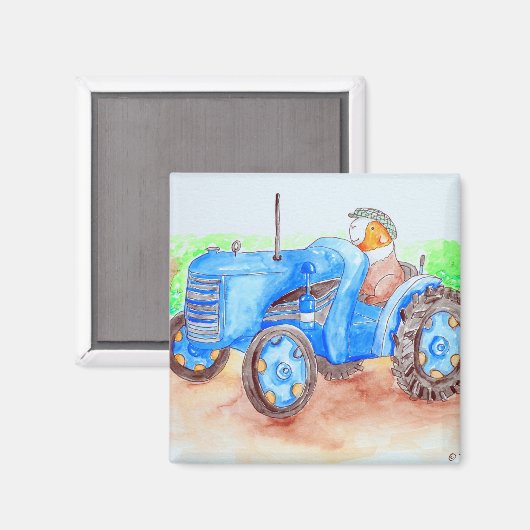 Süsse der Bauer Guinea Schweinefleisch Magnet (Vorderseite/Rückseite)