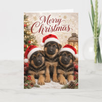 Süße Deutsche Schäferhund-Welpen Frohe Weihnachten