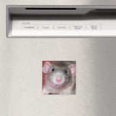 Süße Dumbo-Ratte Magnet (In Situ (Geschirrspüler))