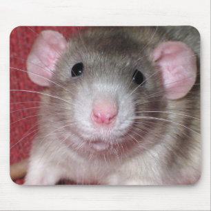 Süße Dumbo-Ratte Mousepad