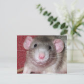 Süße Dumbo-Ratte Postkarte (Stehend Vorderseite)