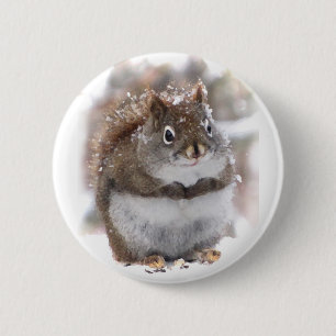 Süße Eichhörnchen Button