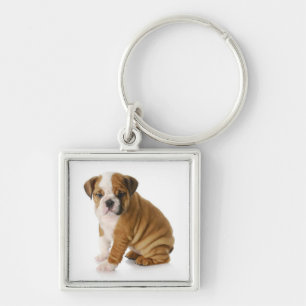 Süße Englische Bulldogge Welpen Schlüsselanhänger