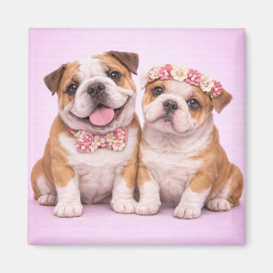 Süße englische Bulldoggen-Paar Valentinstag-Illust Magnet