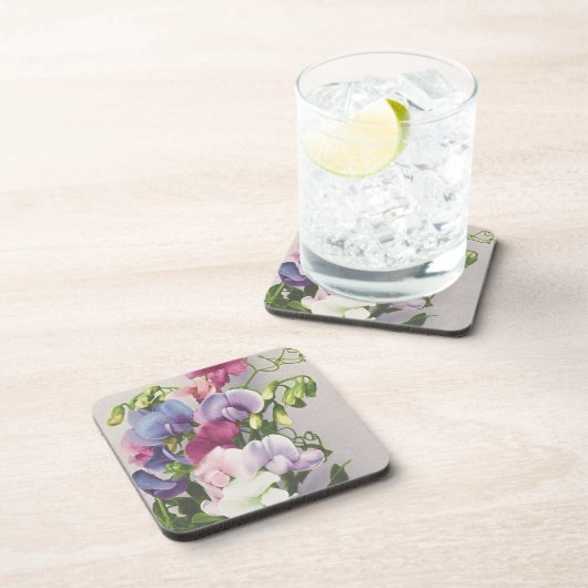 Süße Erbse 1907 Getränkeuntersetzer (Rechte Seite)