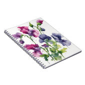 Süße Erbse - Aquarellblumen Notizblock (Rechte Seite)