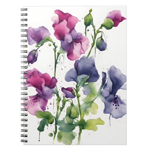 Süße Erbse - Aquarellblumen Notizblock (Vorderseite)