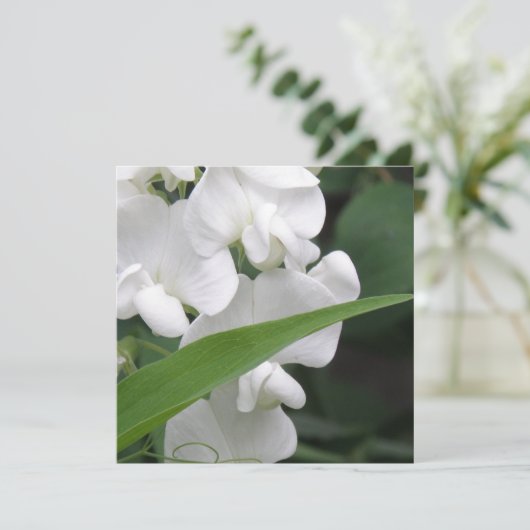 Süße Erbsen-Blumen-Einladung Einladung (Stehend Vorderseite)