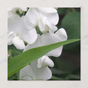 Süße Erbsen-Blumen-Einladung Einladung