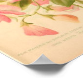 Süße Erbsen Blumen Poster (Ecke)
