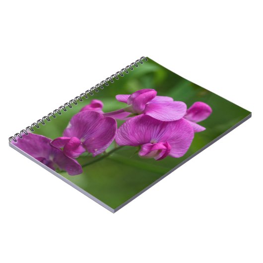 Süße Erbsen-hübsche rosa Notizblock (Linke Seite)