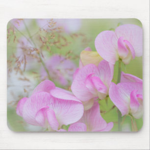 Süße Erbsenblüten   Seabeck, WA Mousepad