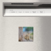 Süße Erdmännchen saß auf einem Baum Magnet (In Situ (Geschirrspüler))