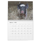 Süße Ferkel 2018 - Baby-Schwein-Wandkalender Kalender (Feb 2026)