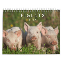 Süße Ferkel 2018 - Baby-Schwein-Wandkalender