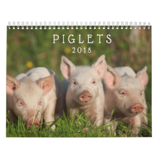 Süße Ferkel 2018 - Baby-Schwein-Wandkalender Kalender