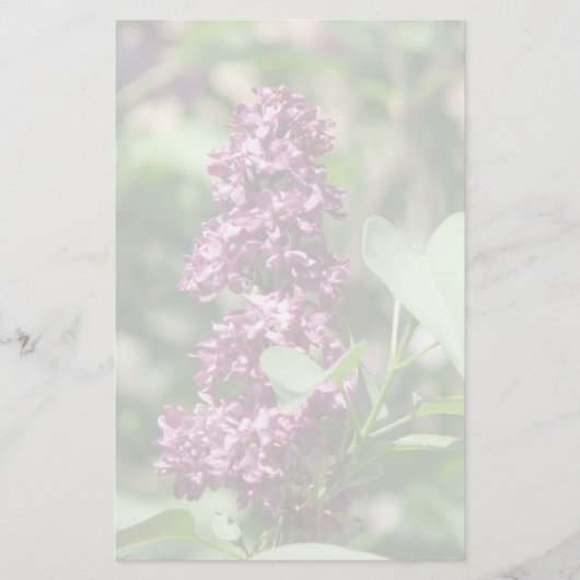 Süße Flieder Briefpapier (Vorderseite)