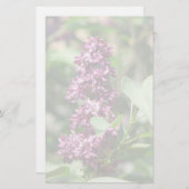 Süße Flieder Briefpapier (Vorne/Hinten)