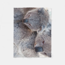 Süße Fluffige Graue Koalas