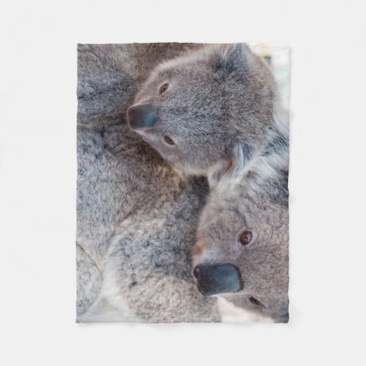 Süße Fluffige Graue Koalas Fleecedecke (Vorderseite)