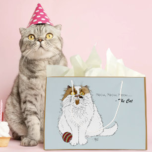 Süße Fluffige Perserkatze Lustiges Miauen Blau Große Geschenktüte