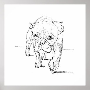 Süße Französische Bulldogge, Hunde-Illustration Poster