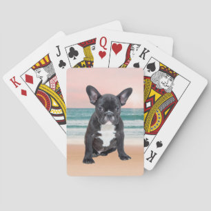 Süße Französische Bulldogge Strand Sonne Wasser Spielkarten