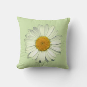 Süße Gänseblümchen-Blüten auf Salbeigrün Kissen