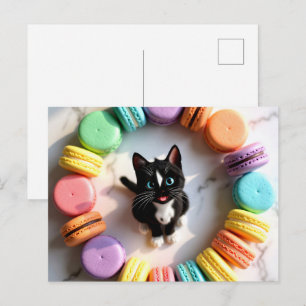 Süße Geburtstagskatze mit farbenfrohen Macarons – Postkarte