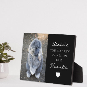Süße Gedenkstätte für Kinder mit Haustierfoto Fotoplatte