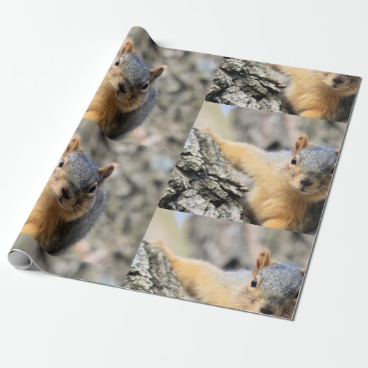 Süsse Geschenkpapier (Ungerollt)