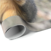 Süsse Geschenkpapier (Rolleneckpunkt)