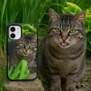 Süße getigerte Katze Kuss iPhone 16 Hülle